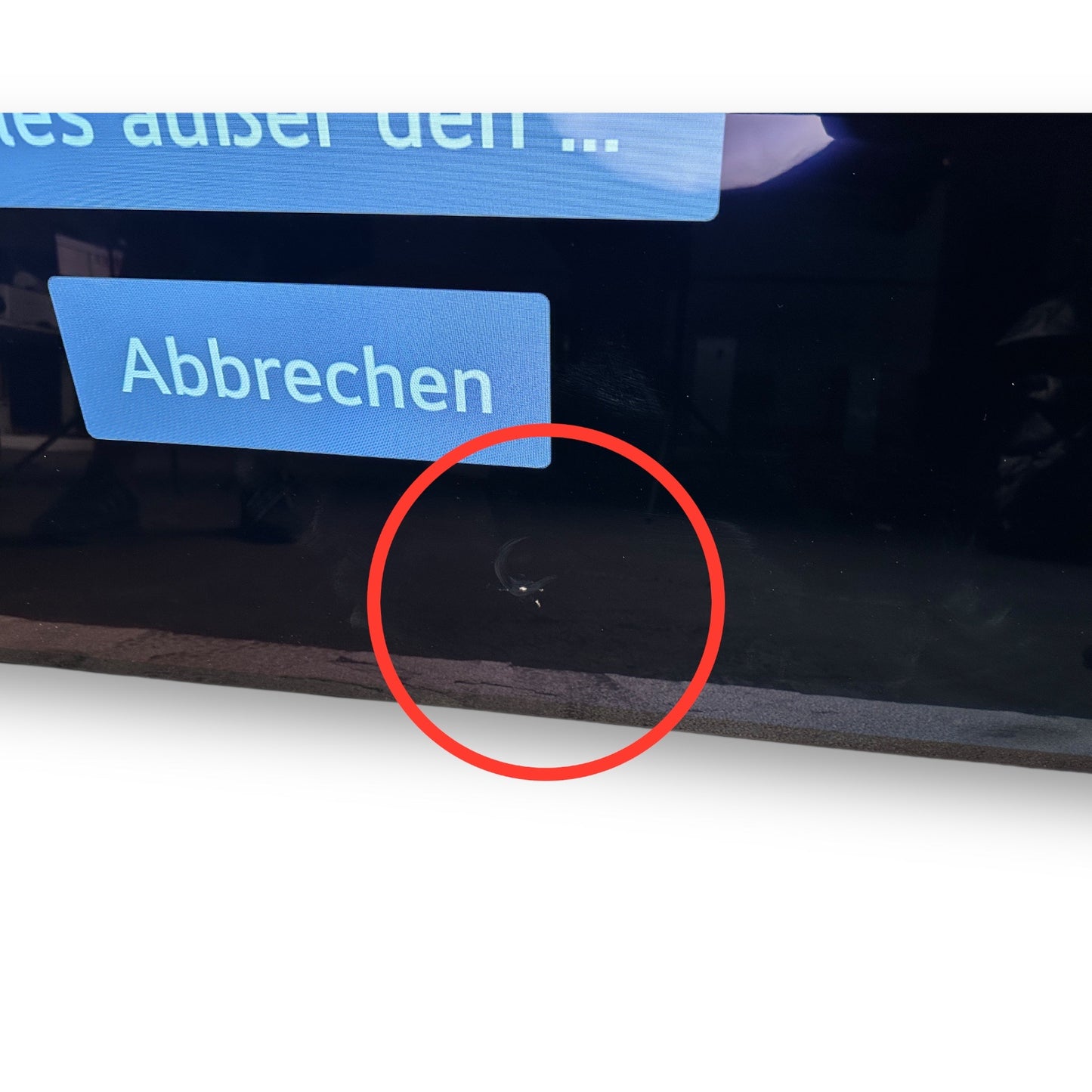 LG OLED83C27LA OLED Fernseher 83 Zoll, UHD 4K, SMART TV, webOS 22 mit LG ThinQ