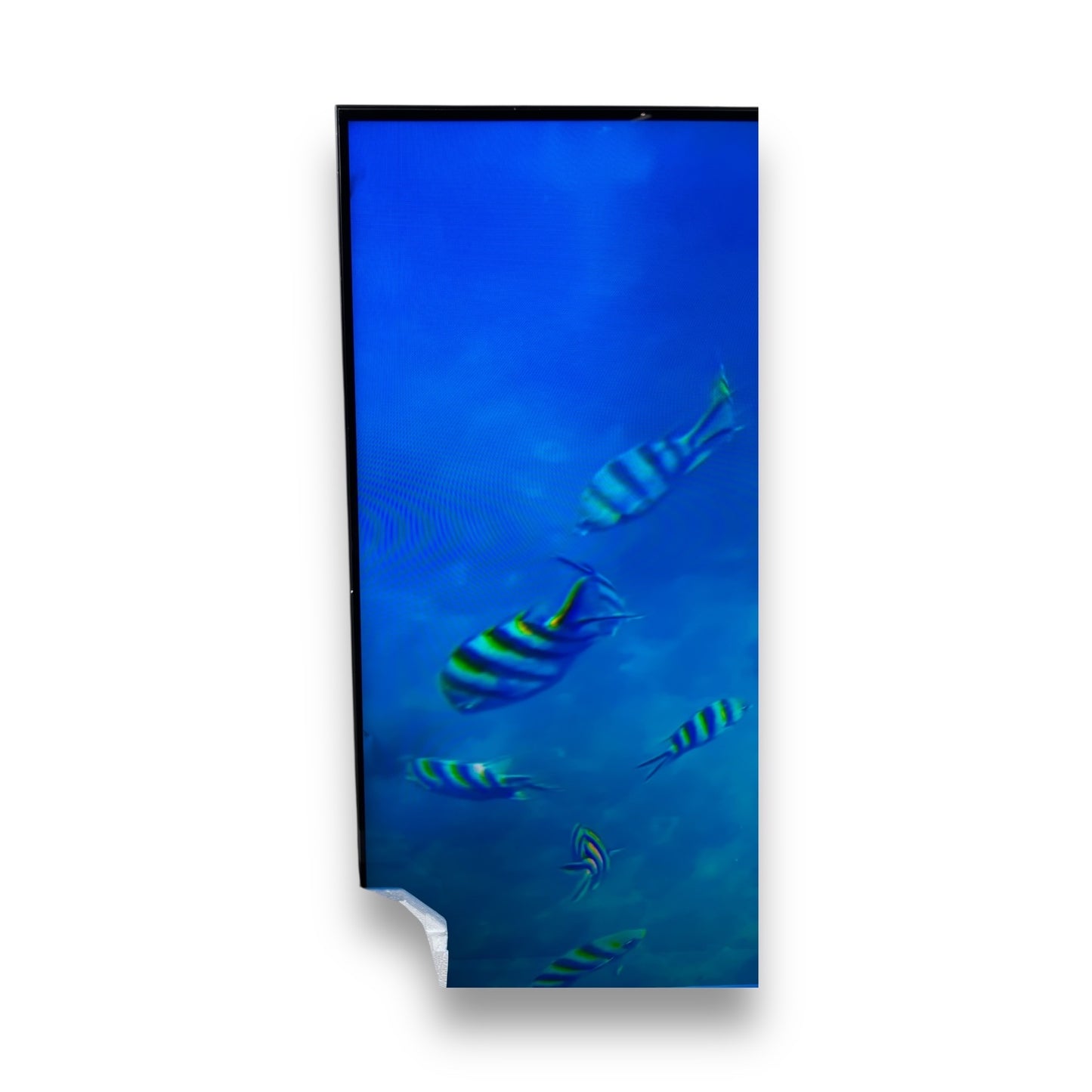 TCL 75C7K QD-Mini-LED Google Fernseher 75 Zoll HDR 4K SMART TV